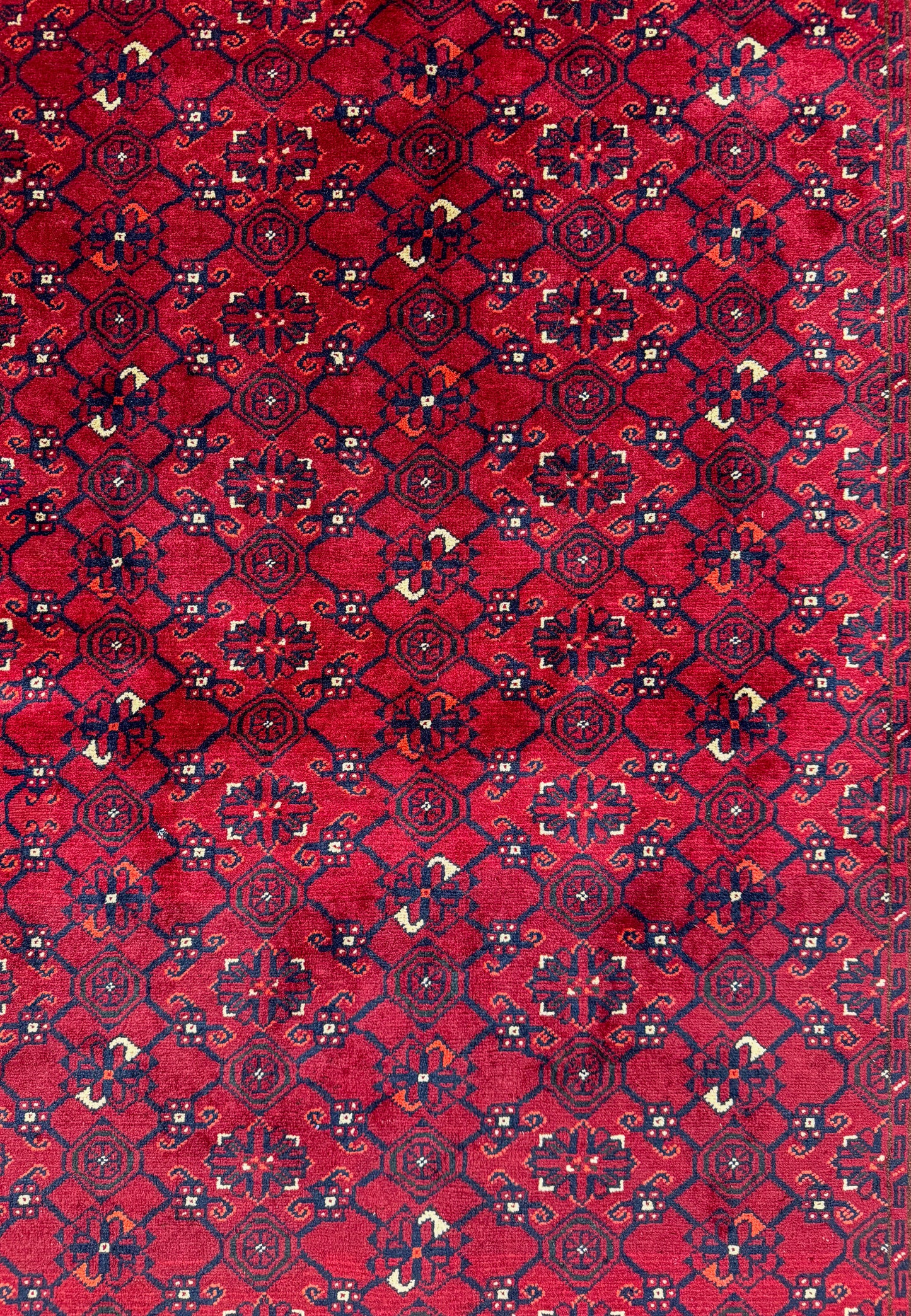Aghani Turkman Rug